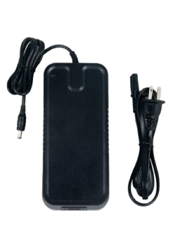 Electric Bike Charger